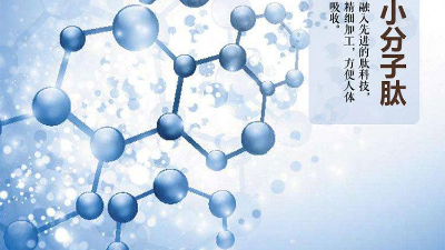 关于蛋白质与蛋白肽的区别，您有了解多少？